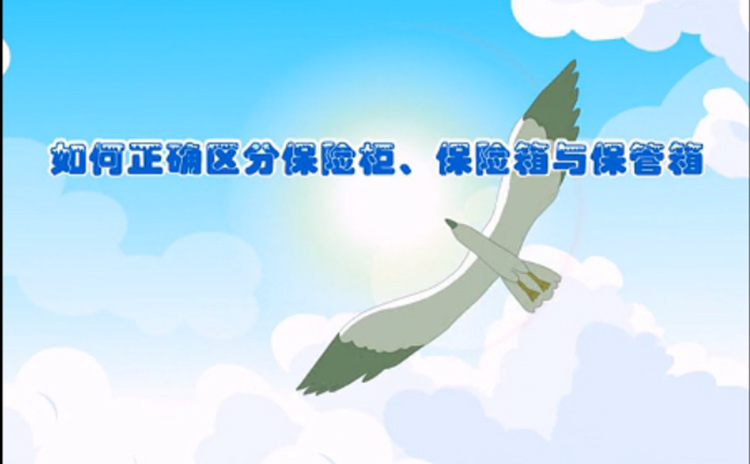 區分保險柜箱與保管箱